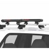 E3095 - Yakima FatCat 4+